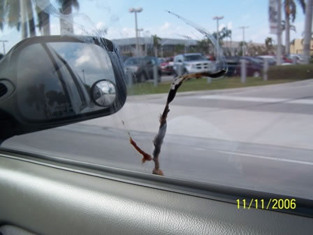 Picture 006 jpg (1)