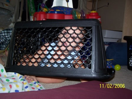 Picture 019 jpg (2)