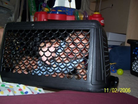 Picture 020 jpg (2)
