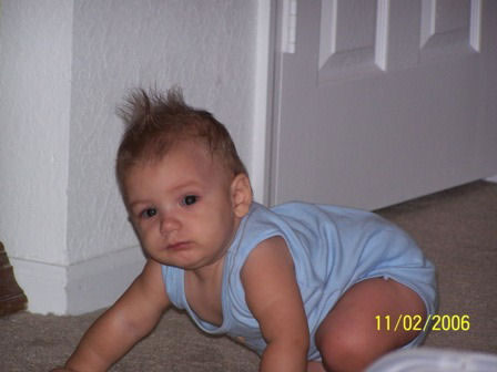 Picture 023 jpg (1)