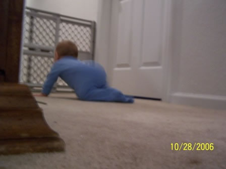 Picture 047 jpg (2)