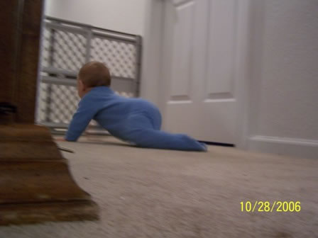 Picture 048 jpg (2)