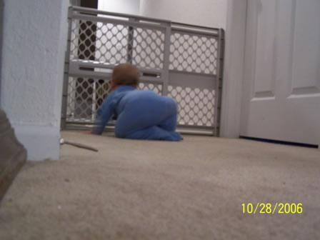 Picture 050 jpg (2)