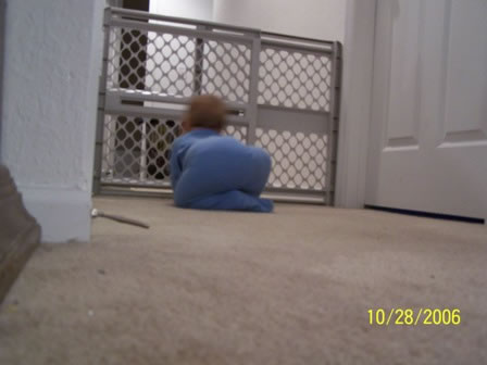Picture 051 jpg (2)