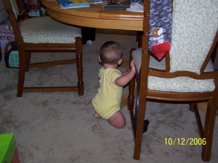 Picture 183 (1)