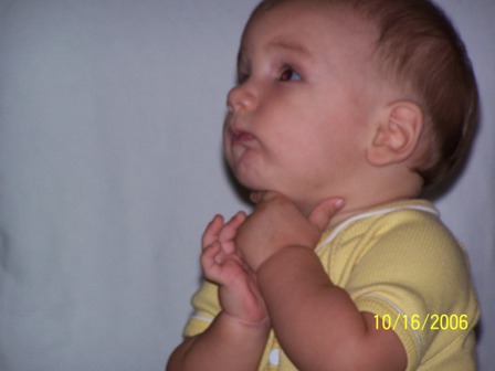 Picture 217 (1)