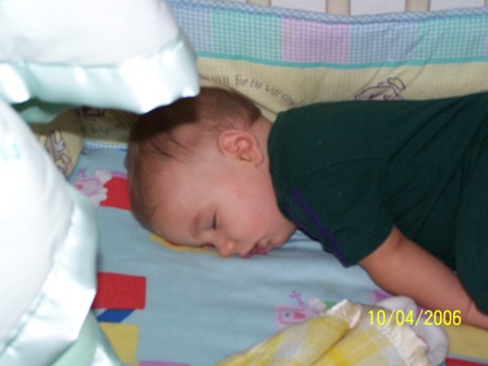 picture 0031