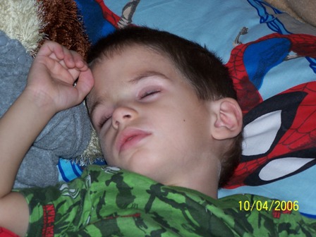 picture 005