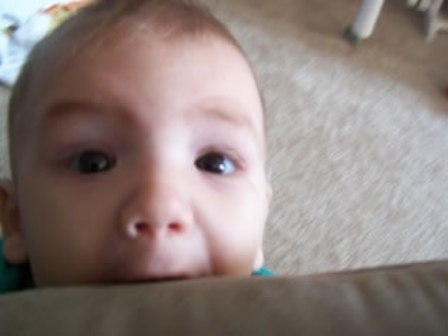 picture 059 jpg