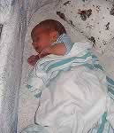 picture 05 jpg
