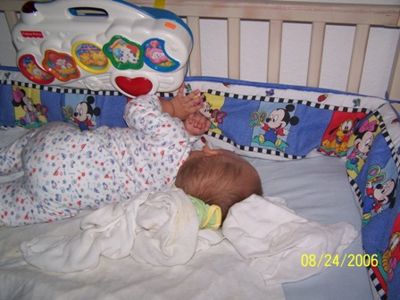 picture 065