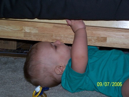 picture 091