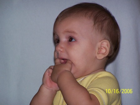 picture 220